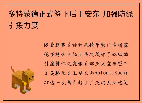 多特蒙德正式签下后卫安东 加强防线引援力度
